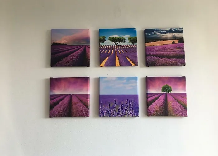 Casa Lavanda Chiavari