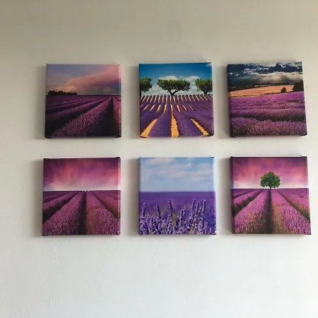 Casa Lavanda Chiavari